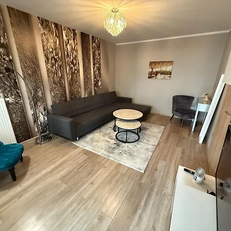 公寓 Coresi Comfort 布拉索夫