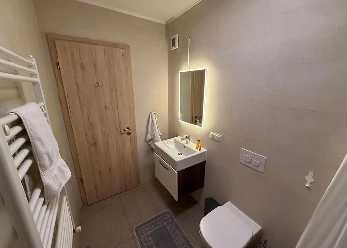 公寓 Coresi Comfort 布拉索夫