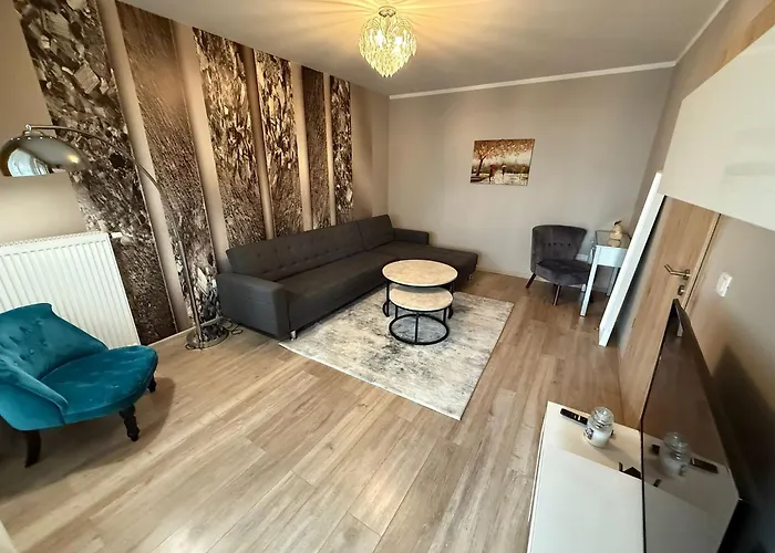 公寓 Coresi Comfort 布拉索夫